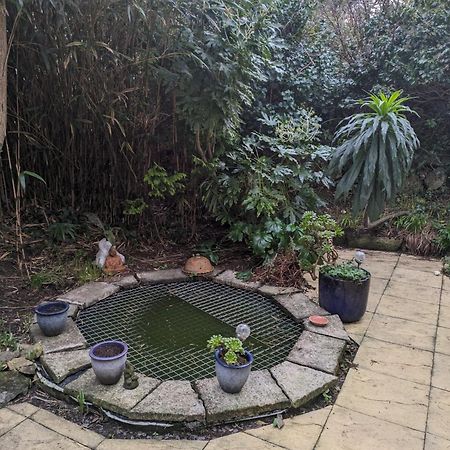 The Garden Apartment St. Ives Exterior photo