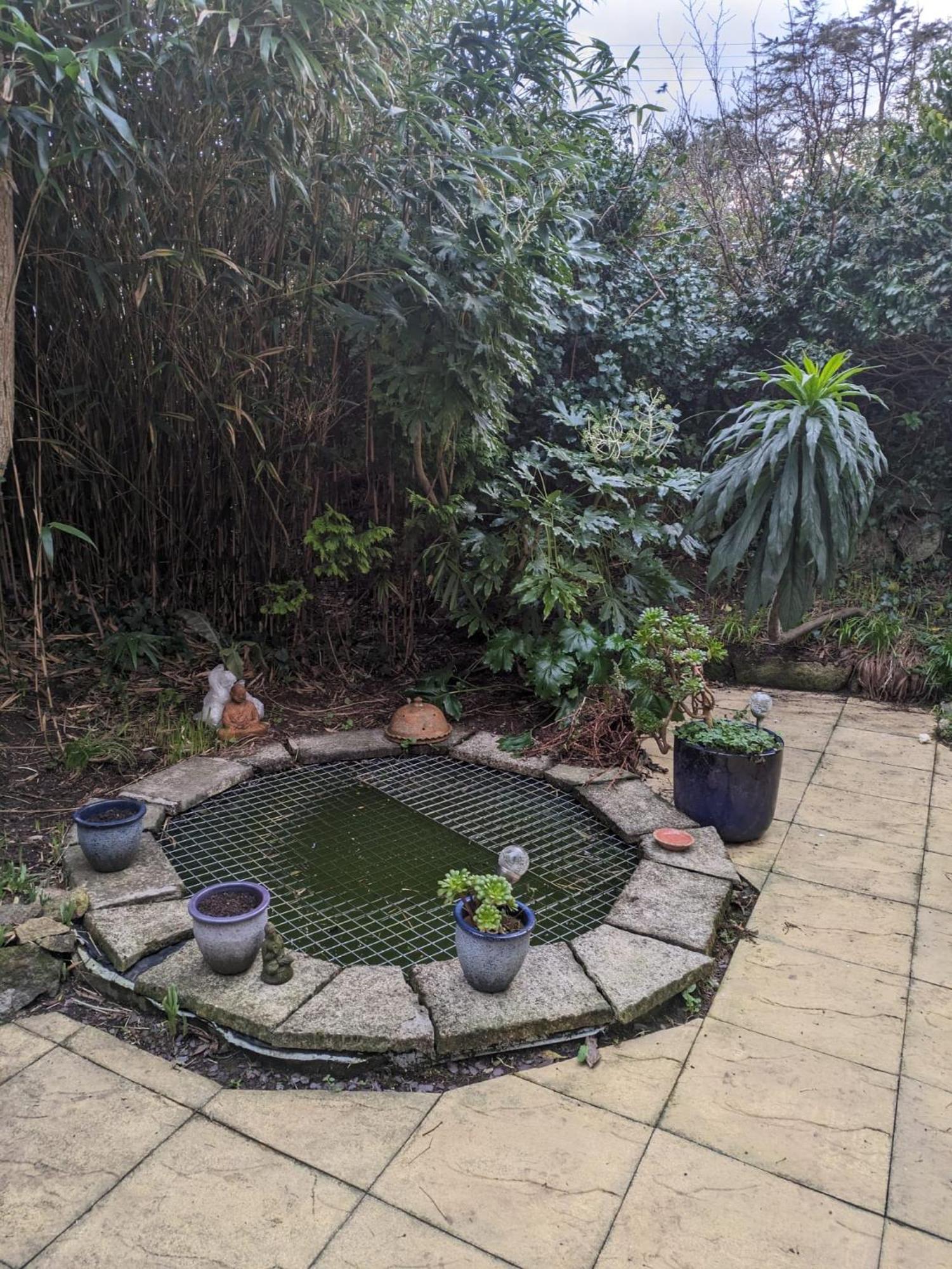 The Garden Apartment St. Ives Exterior photo